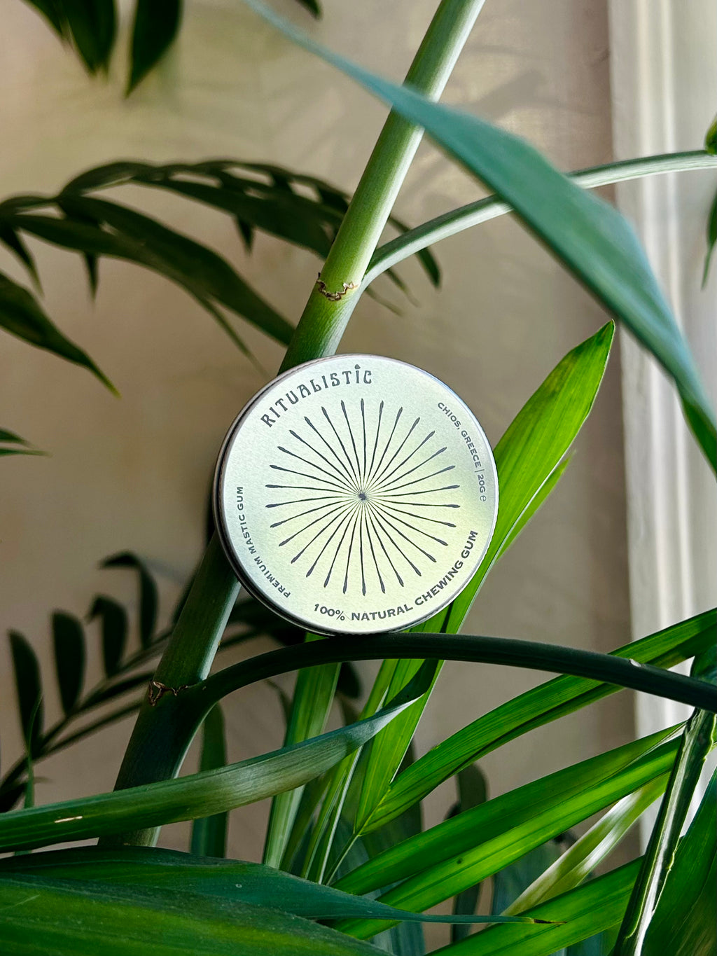 Premium Mastic Chewing Gum